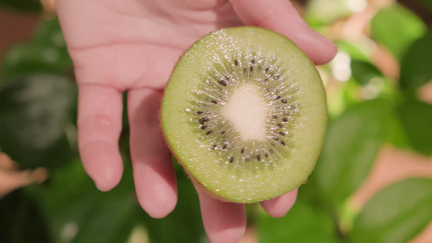 Half of green kiwi in hand showing fruit pulp close-up top view