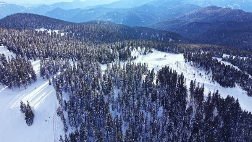 Snow blankets the trees in a forest set in the mountains. The bright sky and distant peaks create a winter scene with no people or activity visible.
