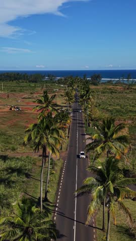 Aerial view of a coastal road lined with palm trees. White car drives along the road through green grass. Ocean and blue sky frame the scene. Vibrant tropical landscape shows the coastline