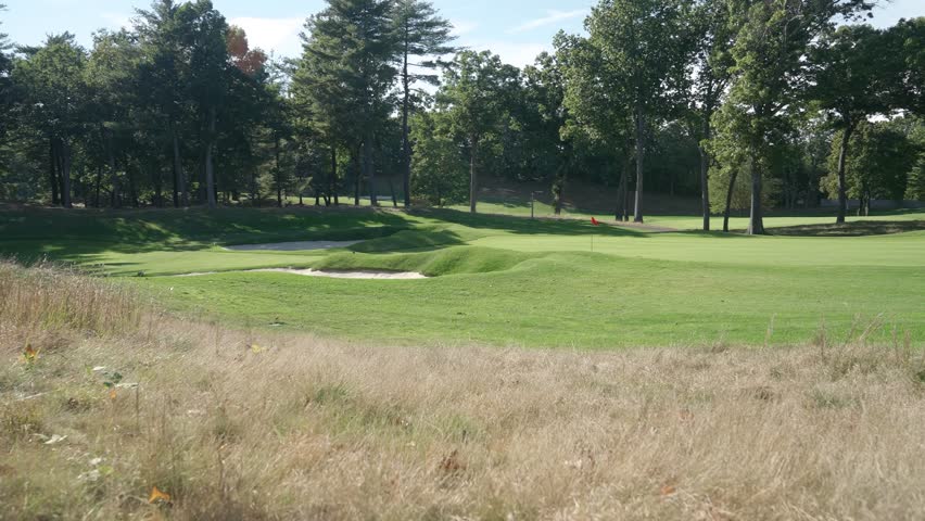 A beautifully manicured golf course green featuring sand bunkers, undulating terrain, and tall trees under a clear blue sky.