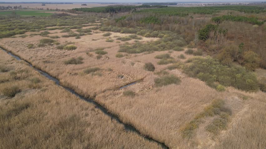 Aerial view of river winding through a marshland