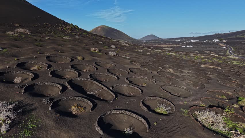 A volcanic landscape in Lanzarote, Spain, where vineyards are planted in circular patches. The land is black from volcanic soil and has some green vegetation.