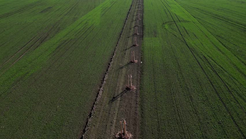 young trees in landscape. planted in row along path or field edge. protected by wooden structure with stakes, support protect it from wildlife or damage from machinery. Landscape windbreak, increases biodiversity or strengthen soil. divides land areas into smaller parts from European Union regulation