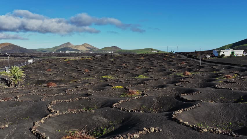 Vineyards are placed among volcanic soil in Lanzarote, Spain. The rocky terrain shows the effects of past eruptions. Small white houses can be seen in the distance under a clear sky.