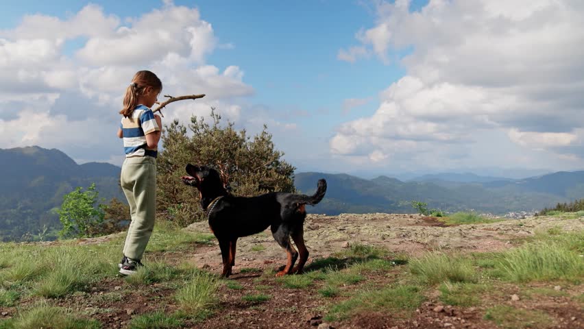 Girl plays with stick with dog-Rottweiler on cliff of mountain in valley of Rhodope Mountains