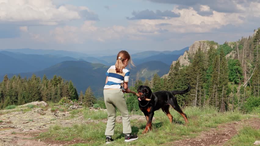 Girl plays with stick with dog-Rottweiler on cliff of mountain in valley of Rhodope Mountains