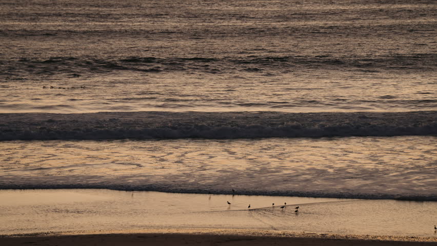 Pacific ocean waves crashing on Manhattan beach shore 