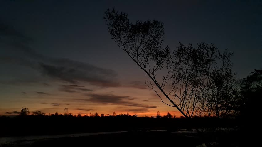 Beautiful sunset sky with orange glow and dark silhouettes of trees in the countryside.