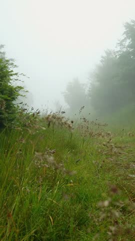 Foggy weather on a mountain path in the morning