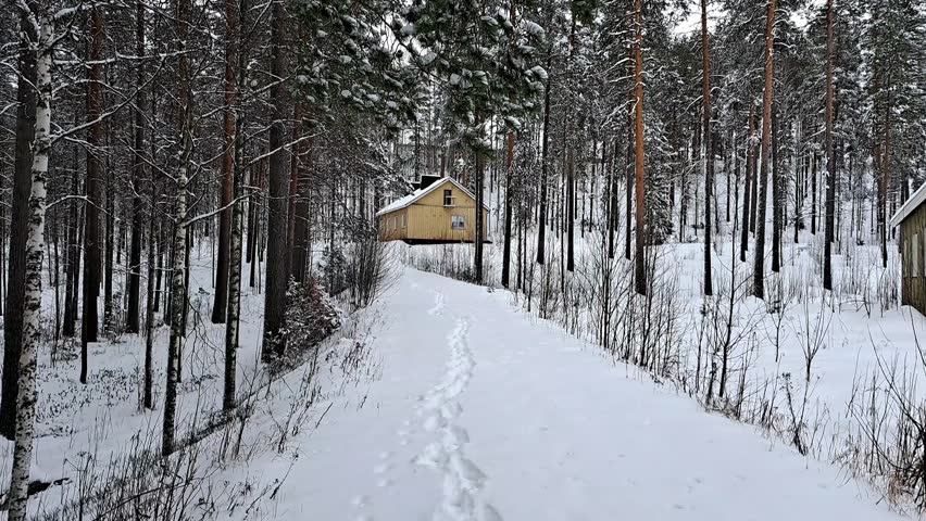 Small yellow wooden house in a snowy pine forest with a snow-covered path in winter.