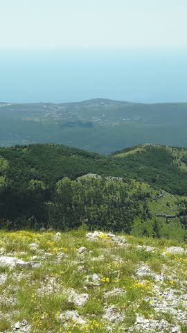 Beautiful panoramic view from a mountain top with yellow wildflowers in the foreground, overlooking green hills and the distant blue sea