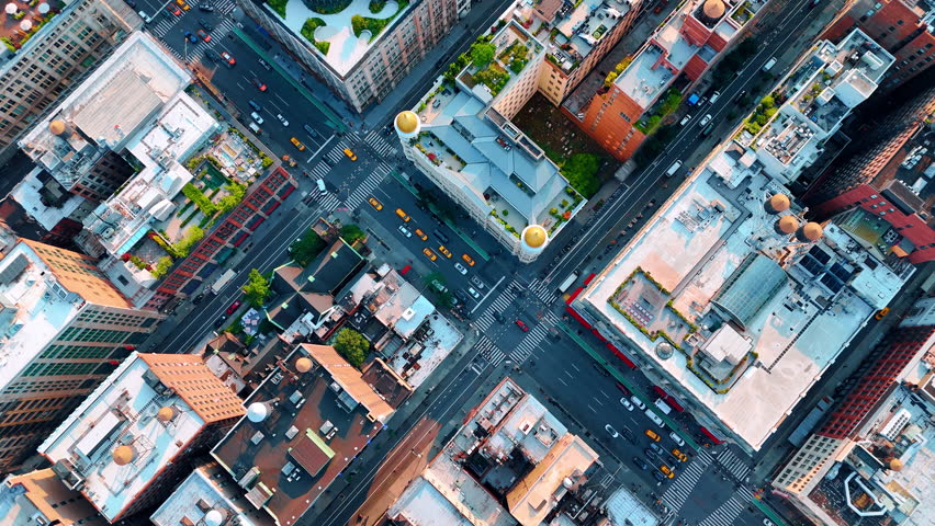 Beautiful gardens growing on tops of the high-rise buildings. Footage above the lively street of New York with private cars and taxis moving by.