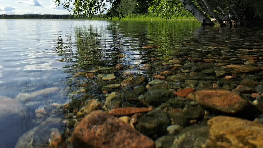 Scenic rocky lake shore with crystal clear water and green reeds under a cloudy sky.