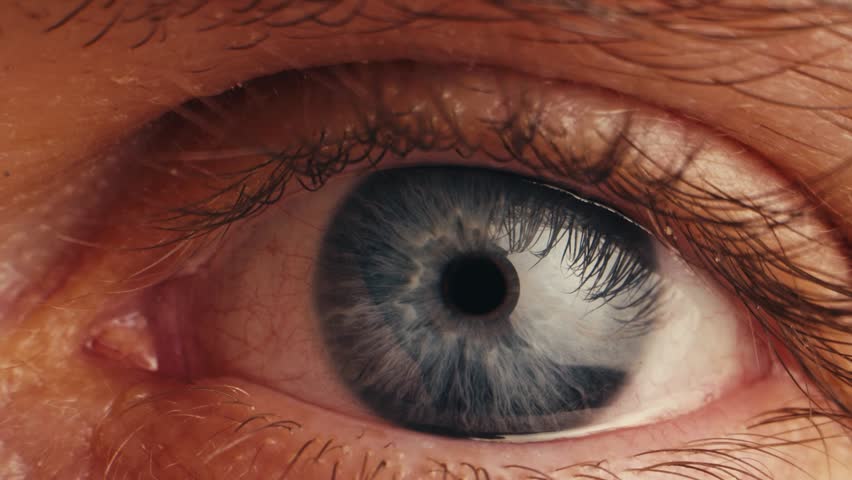 Human eye, Man or woman eye macro, Detailed closeup macro a human blue eye showcases its intricate characteristics. Ophthalmology clinic, vision.