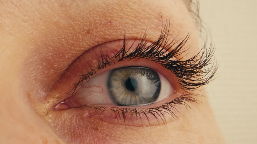 Human eye, Man or woman eye macro, Detailed closeup macro a human blue eye showcases its intricate characteristics. Ophthalmology clinic, vision.