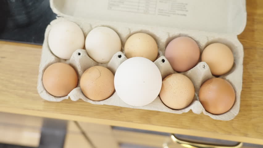Top view of a box with a single large egg standing out