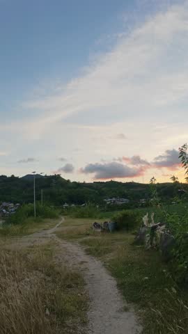 Dirt Road Path Through Greenery