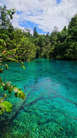 Transparent crystal lake with blue water in Indonesia. Danau Paisu pok