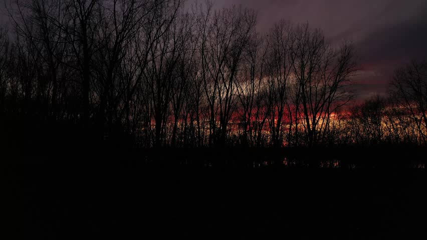 Drone crane shot moving up slowly behind the black silhouette of bare trees, at the end of sunset, with dramatic colors of orange, gold, and turquoise contrasting with the black trees in the calm river
