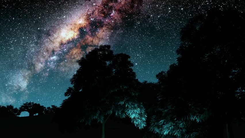 Trees silhouetted under a starry night sky with the Milky Way, creating a stunning cosmic landscape with celestial details and natural scenery.