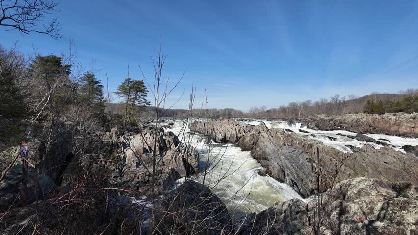 Wilderness River Landscape with White Water Rapids and Pine Trees