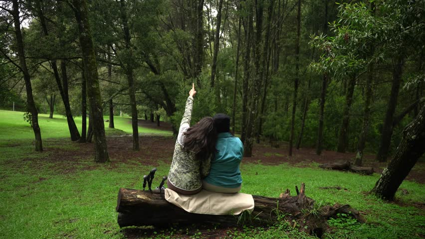 Young couple sitting on a fallen tree trunk in a lush green forest, hugging and pointing up