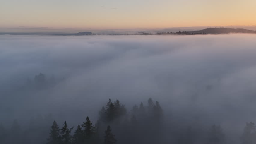 Fog drifts over a forest of primarily evergreen fir trees in Oregon, just south of Portland. The entire Pacific Northwest region is known for its magnificent forests and mountainous landscapes.