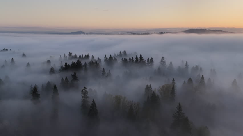 Fog drifts over a forest of primarily evergreen fir trees in Oregon, just south of Portland. The entire Pacific Northwest region is known for its magnificent forests and mountainous landscapes.