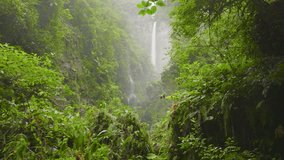 Drone view of a scenic waterfall cascading through dense rainforest in Costa Rica, surrounded by vibrant tropical greenery and dramatic jungle landscape. - Powered by Shutterstock - Get 15% off with code: PIKWIZARD15