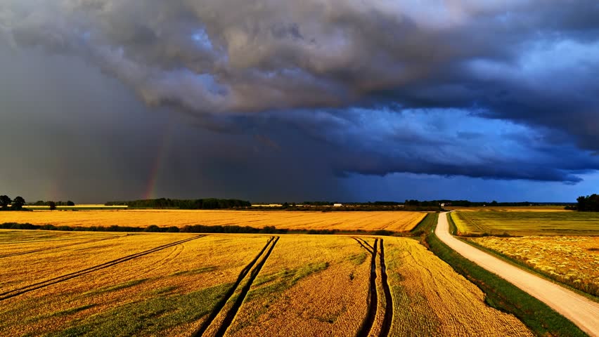 A glimpse of a rainbow is seen under dramatic skies over wheat fields. Wheat fields are decorated with tractor tracks