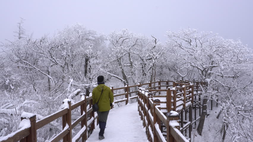 Person walking on a wooden deck trail in a winter mountain landscape