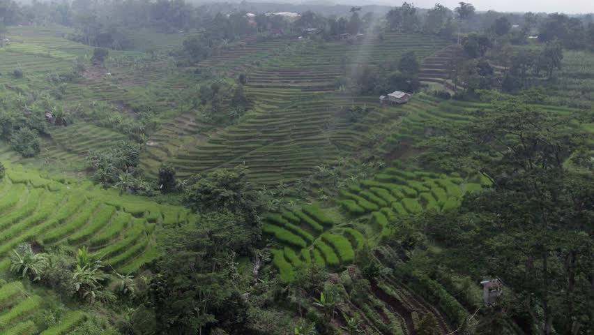 Scenic panorama of the rural Indonesian highlands, featuring tiered rice paddies and a winding river at the valley floor. Captured in West Java, this footage showcases the serene beauty and ecological diversity of Southeast Asian landscapes