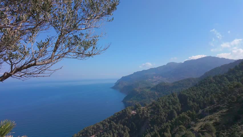 Mirador d