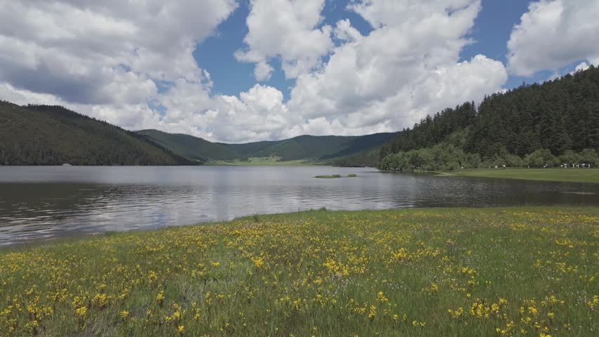 A breathtaking highaltitude landscape featuring a calm lake, lush green pine forests, and a meadow of yellow wildflowers under a dramatic cloudy sky in ShangriLa, China.