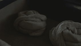 Close-up of shaped bread dough rolls arranged and ready for baking. Artisan bakery process, raw dough formed into loaves or buns, lightly dusted with flour. Traditional bread making, preparation stage before oven, homemade and organic baking concept. - Powered by Shutterstock - Get 15% off with code: PIKWIZARD15