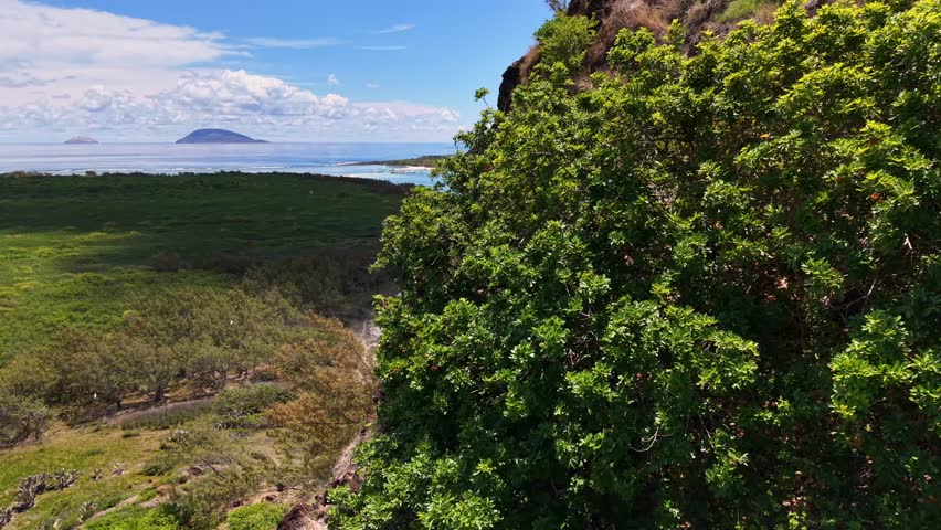 Steep cliff covered in lush green foliage. Distant island appears on the horizon. Calm sea stretches under a bright blue sky. Natural beauty of the coastal landscape