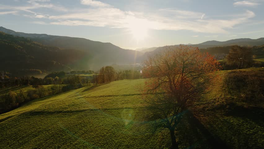 Sunset Glow Over Green Hilly Meadow With Autumn Foliage In Foreground. Fiemme Valley, Trentrino, Italy. wide drone shot