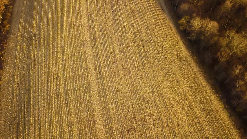Rural Landscape With Fields And Forests During Autumn In Liverpool, Pennsylvania - Drone Shot