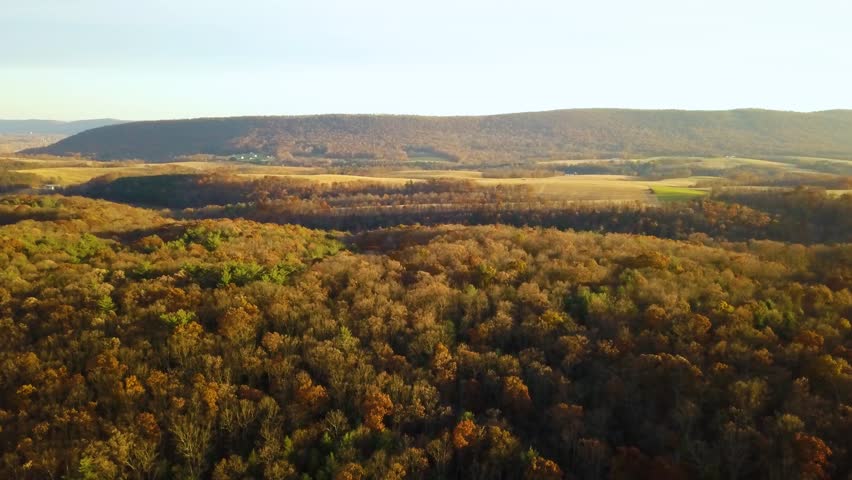Dense Forests With Colorful Autumn Foliage Near Liverpool In Perry County, Pennsylvania, United States. Aerial Drone Shot