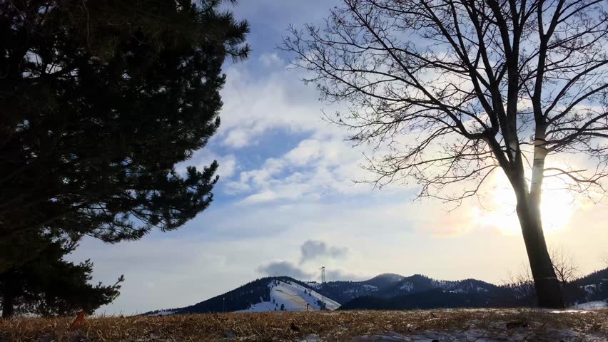 Border collie dog jumping to catch red frisbee in winter park with snowy mountain background at sunset