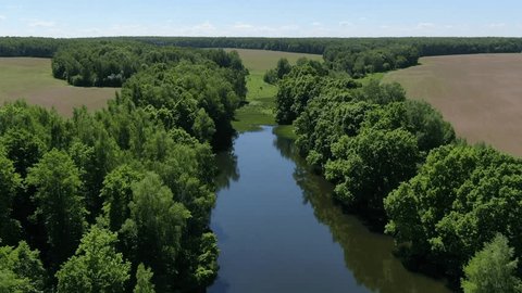 Drone Flying Forward above River Forest