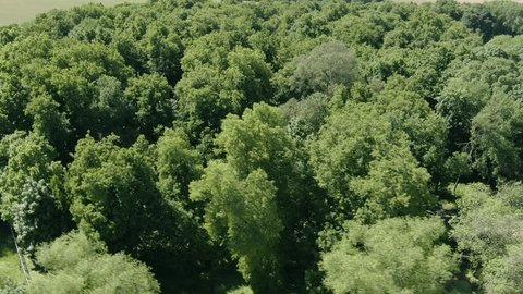 Drone Ascending Circle above Rural Forest Area