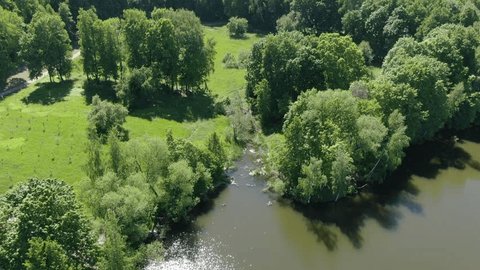 Forward Drone Movement Descending toward Forest Meadow