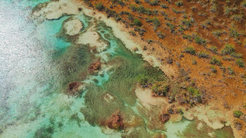 Aerial view of colorful wetlands and turquoise water at Bacalar Lagoon Mexico