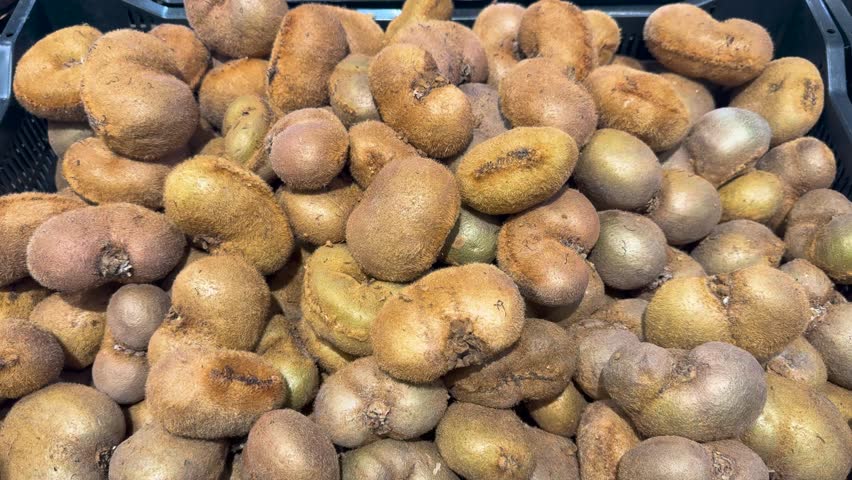 A large group of kiwi fruits are piled in a black crate at a market during the afternoon. They have a brown, fuzzy skin and various shapes.
