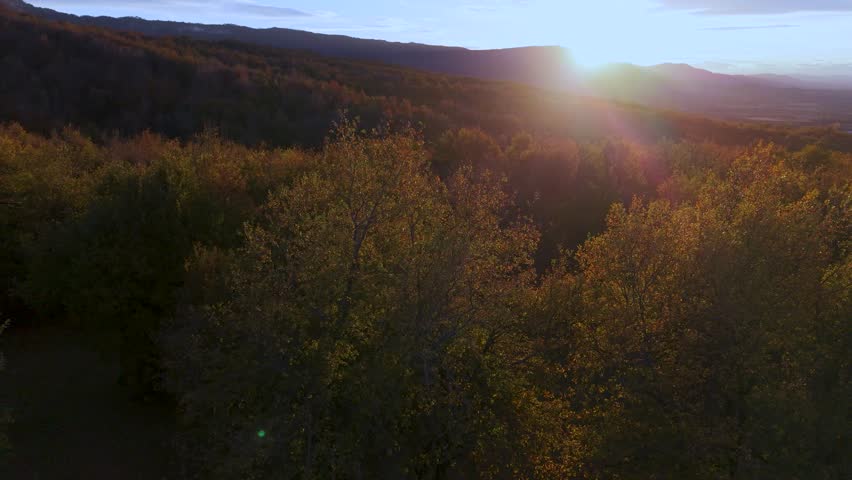 Autumn landscape on the Route of the Ancient Oaks of Okariz and Munain in the Sierra de Entzia mountain range in the province of Álava, Basque Country, Spain, Europe