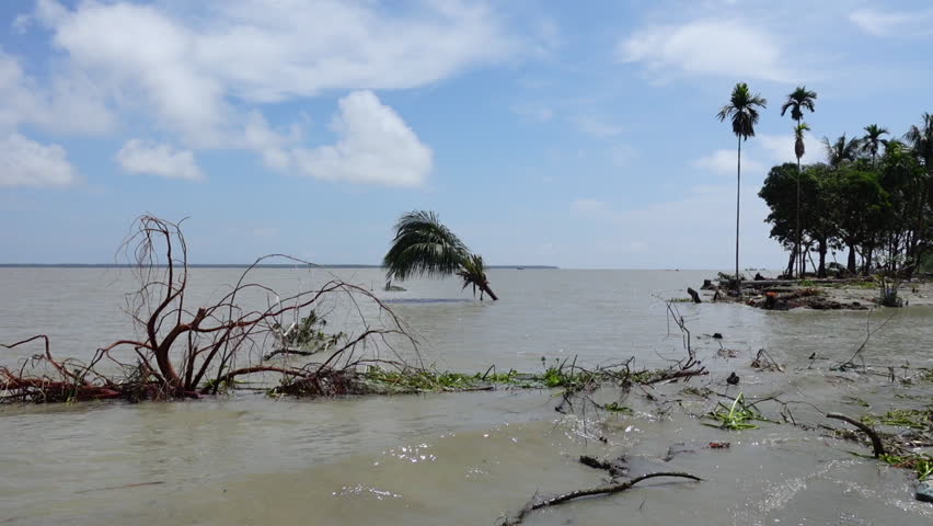 A view of massive river erosion on a remote riverbank in Dhalchar, Bhola district.