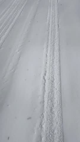 Winter road with tire tracks in a pine forest