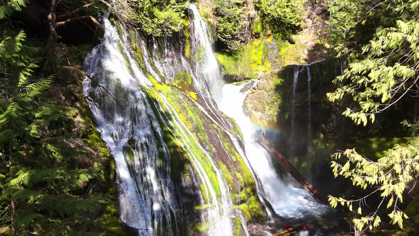 Drone shot of Panther Creek Falls flowing over moss covered rocks in forest video