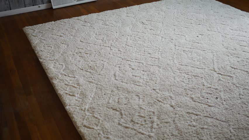 A White Fluffy Carpet in a Living Room